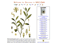 Tablet Screenshot of mrcophth.com